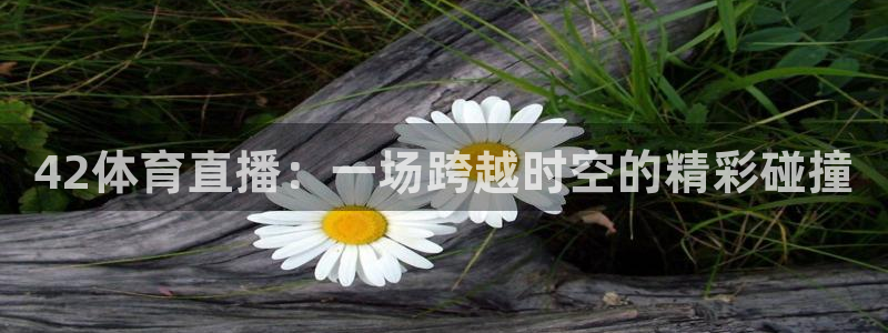 nba在线直播免费观看直播小九直播：42体育直播：一场跨越时空的精彩碰撞