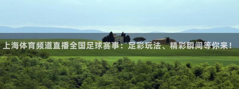 小九直播体育直播平台：上海体育频道直播全国足球赛事：足彩玩法、精彩瞬间等你来！