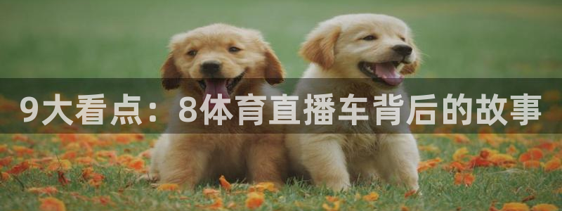 nba直播吧小九直播：9大看点：8体育直播车背后的故事