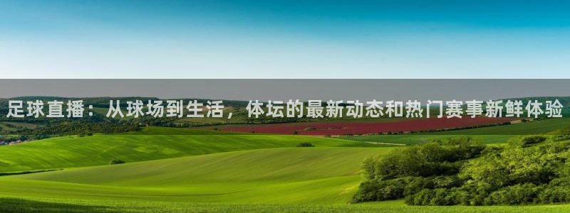 nba直播免费观看直播在线小九：足球直播：从球场到生活，体坛的最新动态和热门赛事新鲜体验