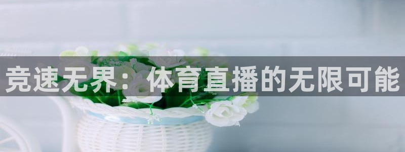 小九直播nba免费观看高清：竞速无界：体育直播的无限可能