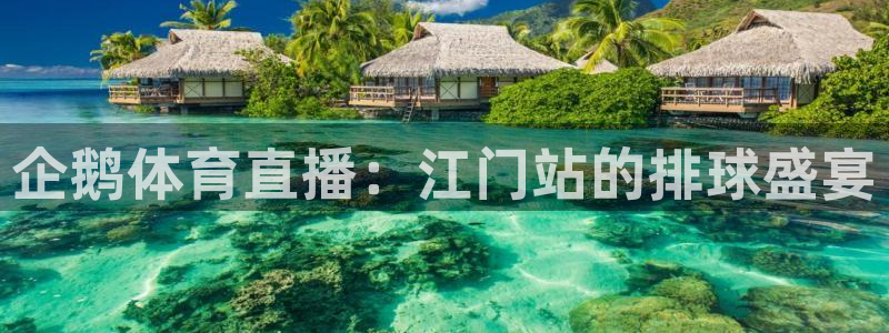 小九足球免费直播高清观看：企鹅体育直播：江门站的排球盛宴