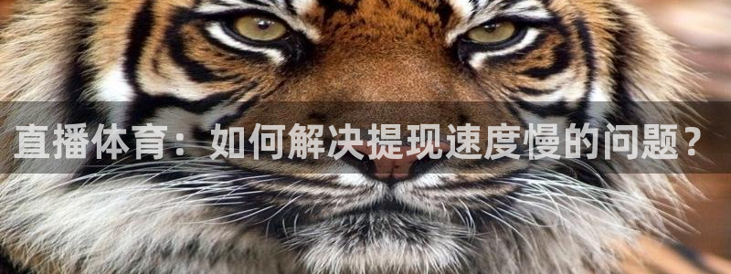 小九直播乐悠足球免费观看：直播体育：如何解决提现速度慢的问题？