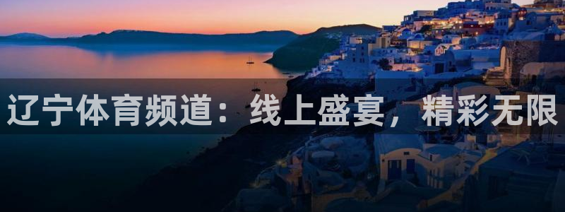 小九是谁：辽宁体育频道：线上盛宴，精彩无限