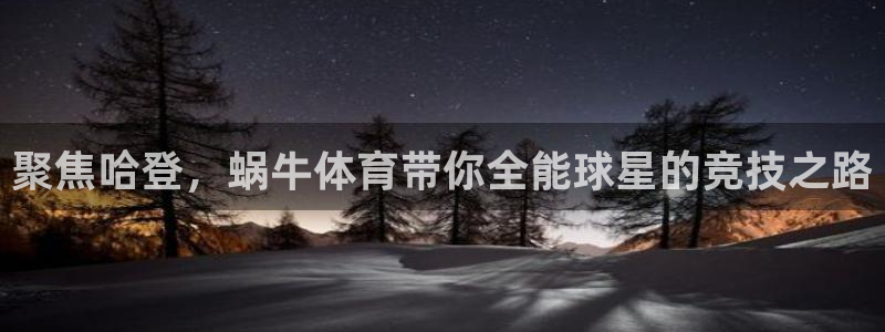 nba直播小九直播在线观看：聚焦哈登，蜗牛体育带你全能球星的竞技之路