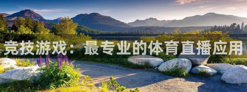 小九直播亚洲世预赛：竞技游戏：最专业的体育直播应用