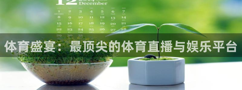 小九看球直播：体育盛宴：最顶尖的体育直播与娱乐平台