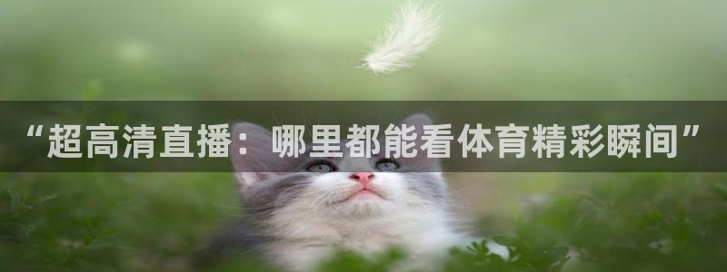 足球直播小九直播：“超高清直播：哪里都能看体育精彩瞬间”