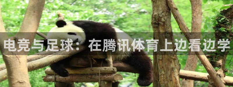 nba小九直播免费观看：电竞与足球：在腾讯体育上边看边学