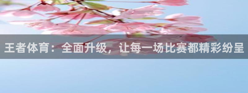 小九免费直播在线观看直播足球：王者体育：全面升级，让每一场比赛都精彩纷呈